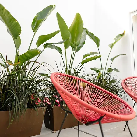 Marlin House Vii Ferrel (Leiria)